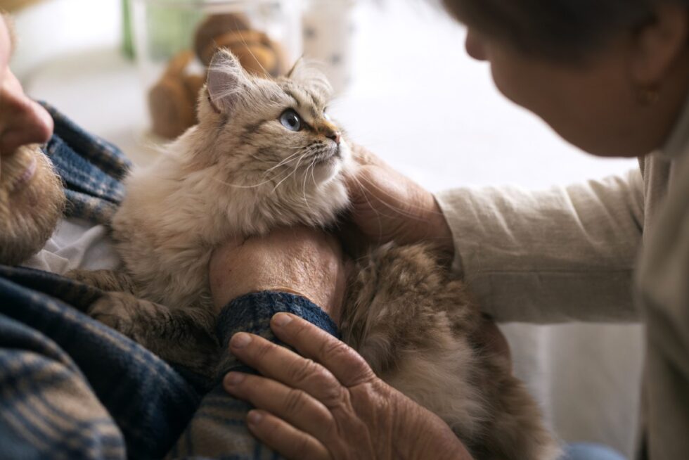 Menomonee Falls, WI Veterinary Services Family Pet Clinic