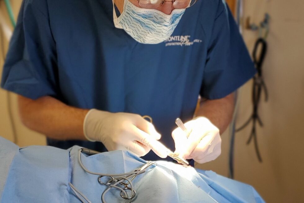 Menomonee Falls, WI Veterinary Services Family Pet Clinic